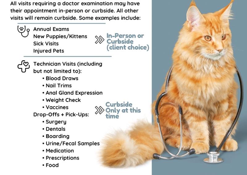 Carousel Slide 3: Dog Cat Veterinary Care, Cresskill