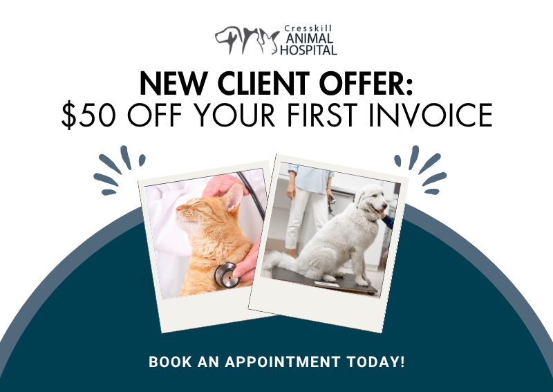 Carousel Slide 1: Book your appointment >