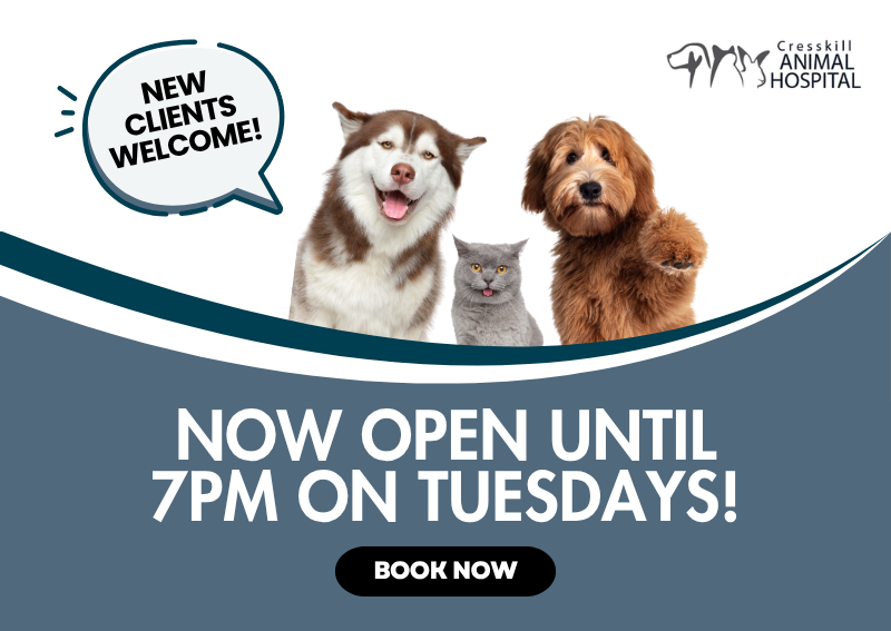 Carousel Slide 2: Book online >