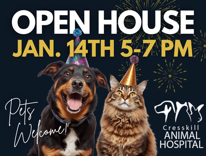 You're Invited to our Open House!